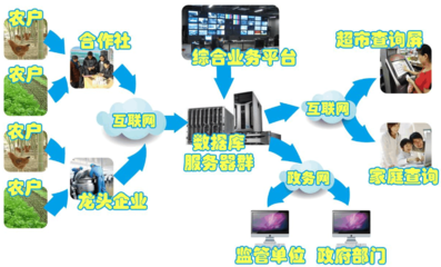建設(shè)農(nóng)產(chǎn)品溯源系統(tǒng)的目的 與網(wǎng)絡(luò)技術(shù)服務(wù)相結(jié)合的行之有效之道
