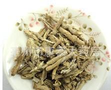 地骨皮 清熱解乏的優質中藥材飲片，支持大量批發與加工