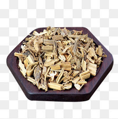 中藥材的形態與辨識