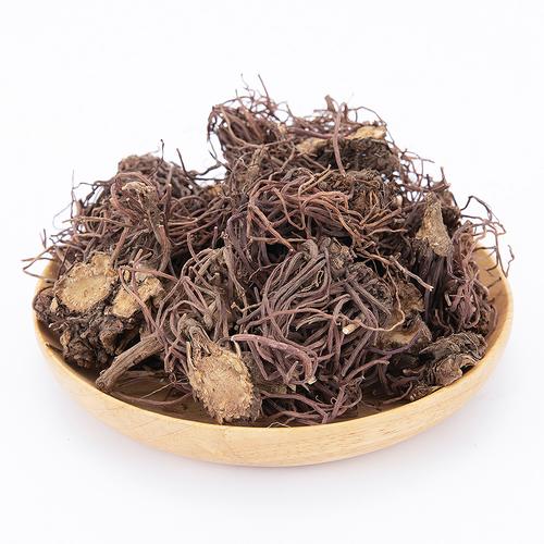 紫菀 藥食同源的中藥材寶藏