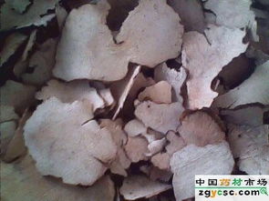 海翔中藥 專注放射性藥品供應，助力精準醫療發展